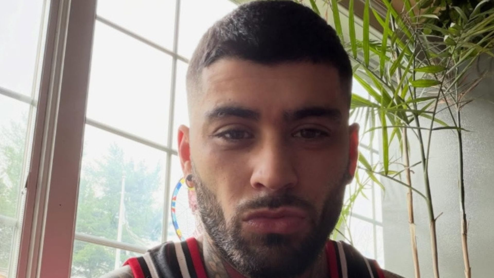 Ayra Starr y Zayn Malik conectan sus universos en 'Heaven Baby'